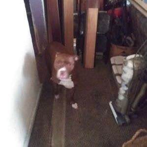 Meet your Posher, Cora